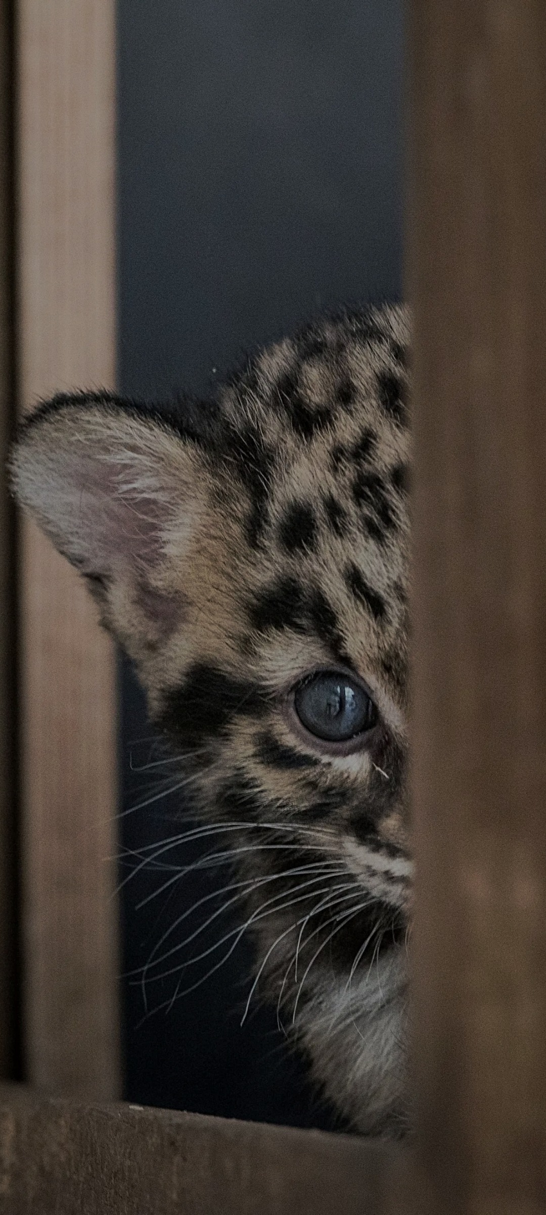 Perfil de Richardson