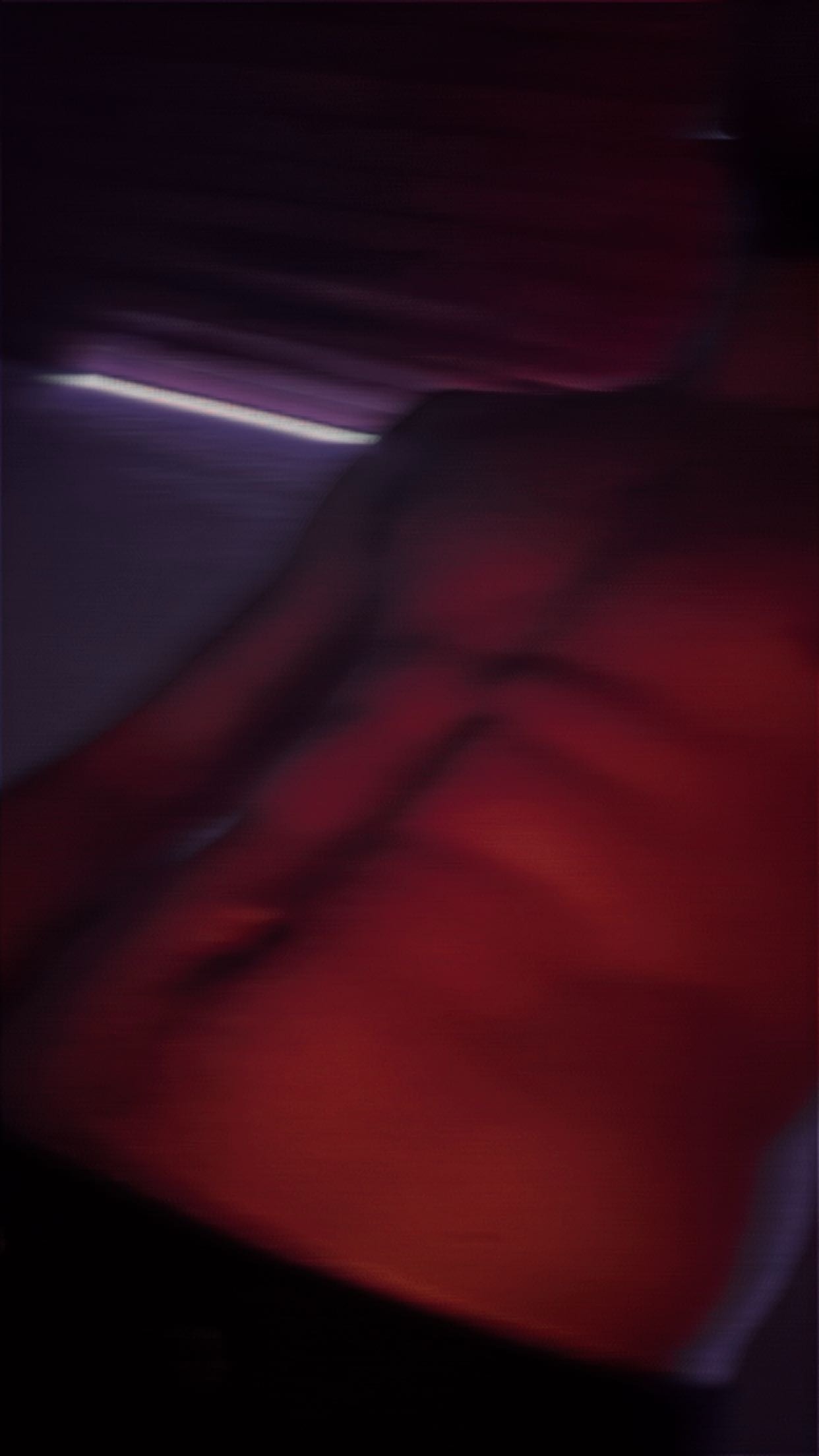 Perfil de Sebastiano